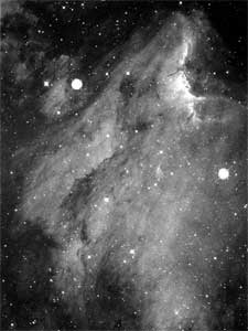 ペリカン星雲一枚画像