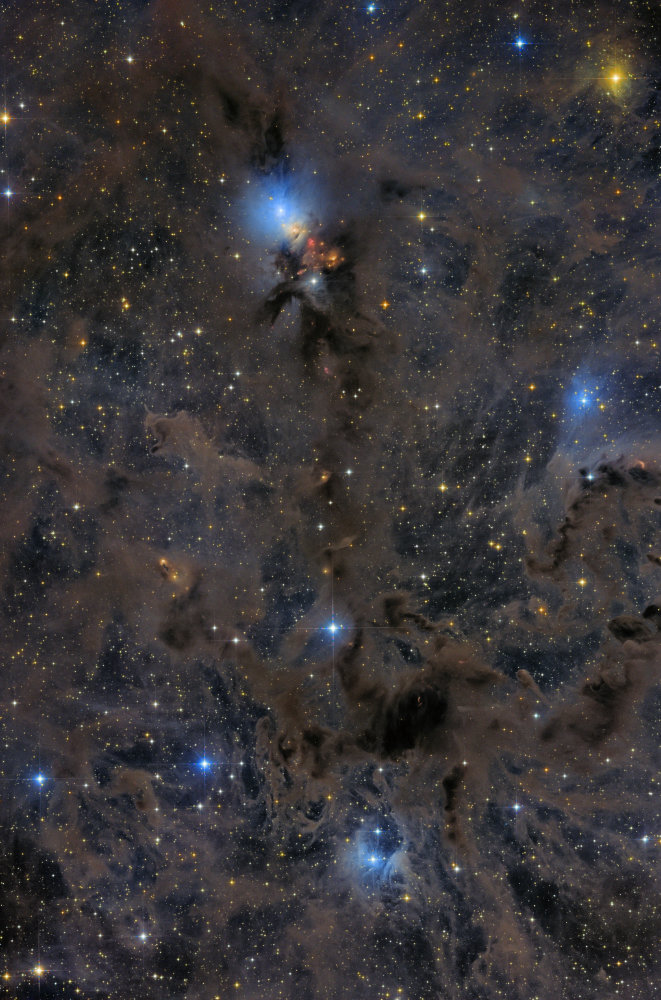 NGC1333付近の分子雲