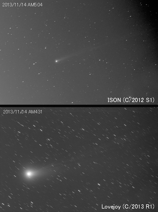 アイソン彗星とラブジョイ彗星