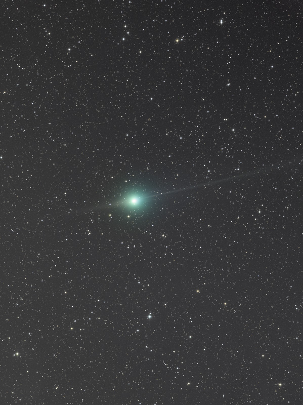 ルーリン彗星(鹿林彗星)