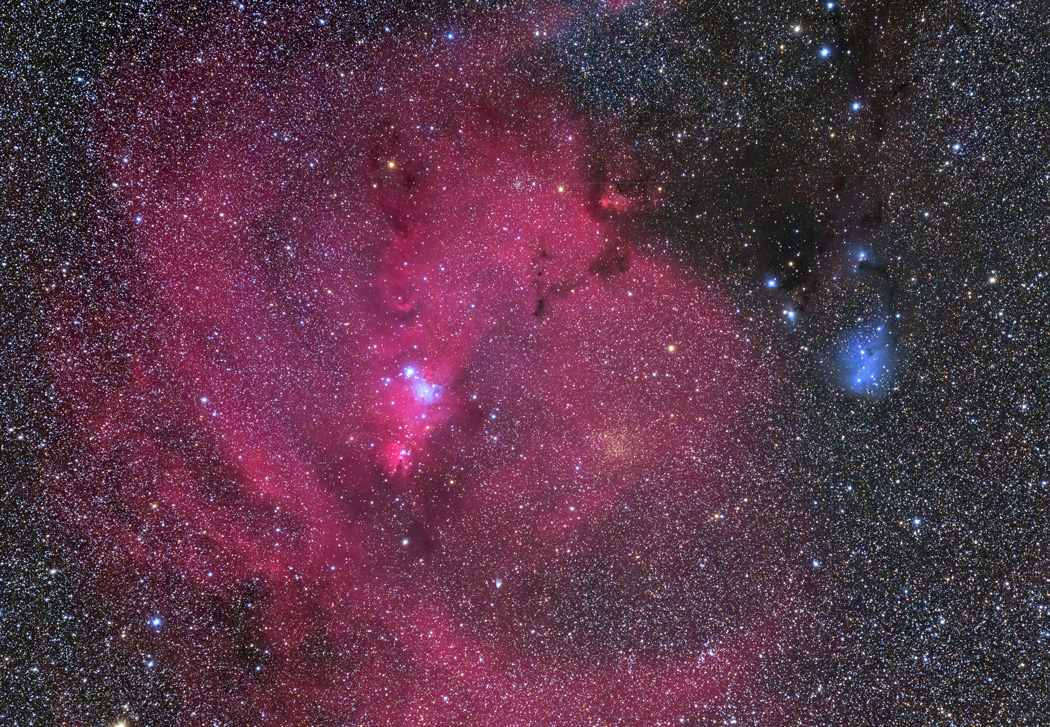 コーン星雲とIC2169
