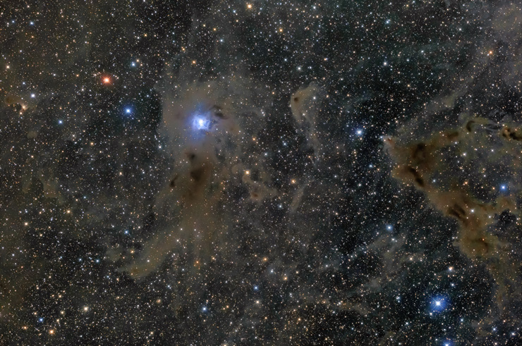 アイリス星雲と周辺の分子雲