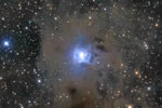 アイリス星雲と分子雲