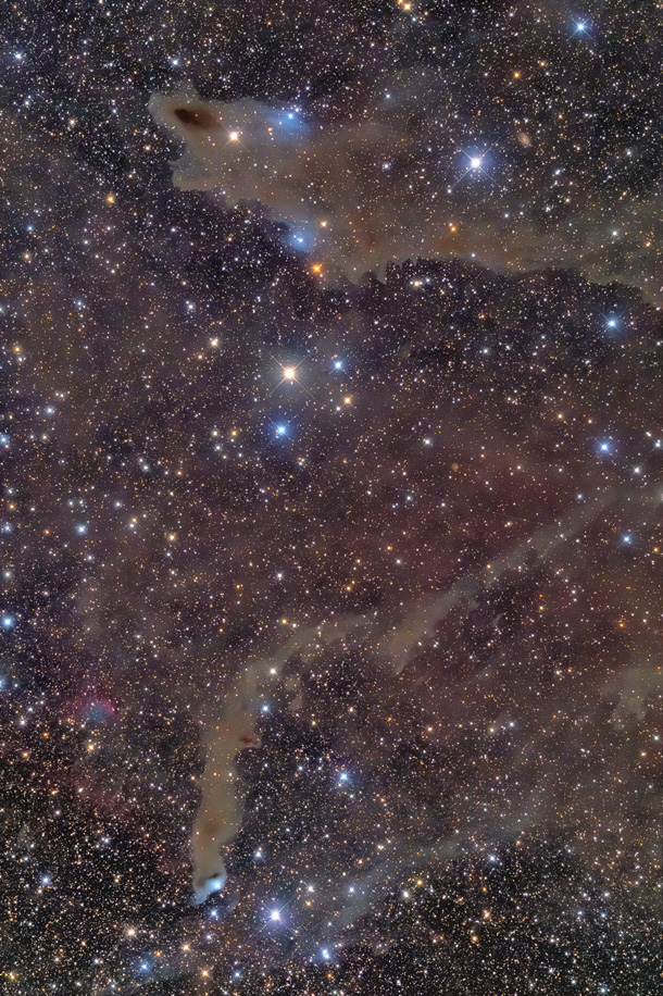 vdB152 と シャーク星雲