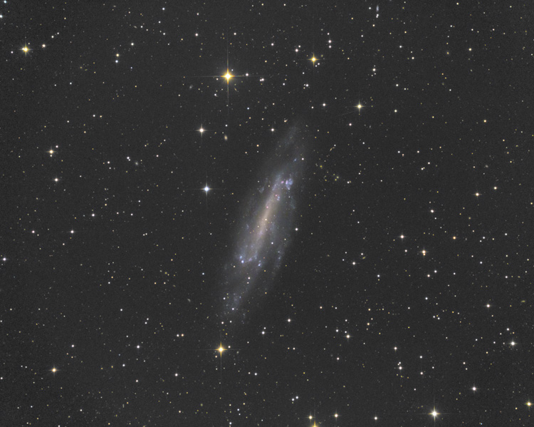 NGC4236 