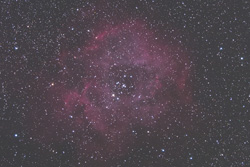 ばら星雲の写真