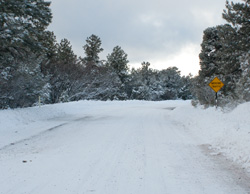 冬の道路