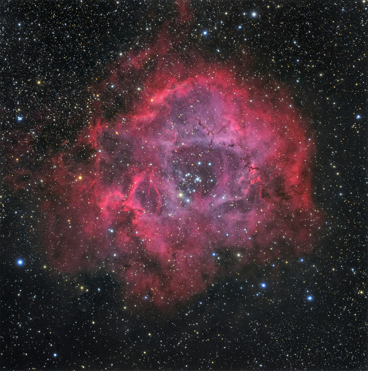 ばら星雲 | NGC2237