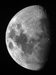 半月の写真