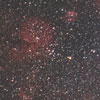 Gum Nebula15,17