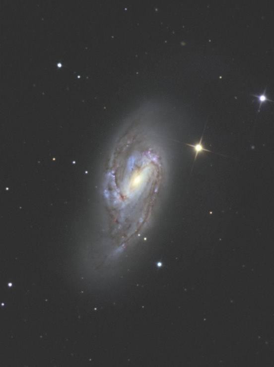 しし座のM66銀河