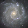 NGC3184銀河