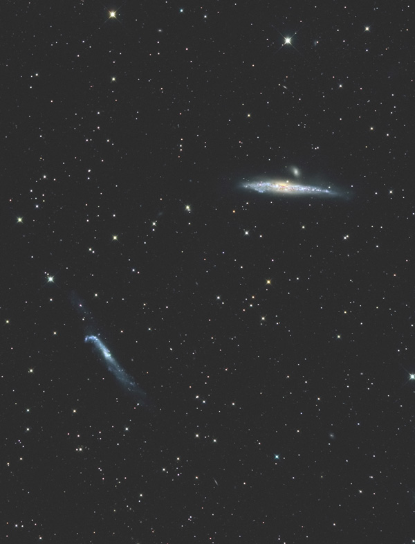 NGC4631とNGC4656銀河