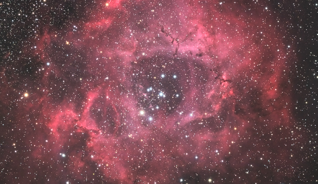 ばら星雲,NGC2244