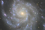 ܍M101