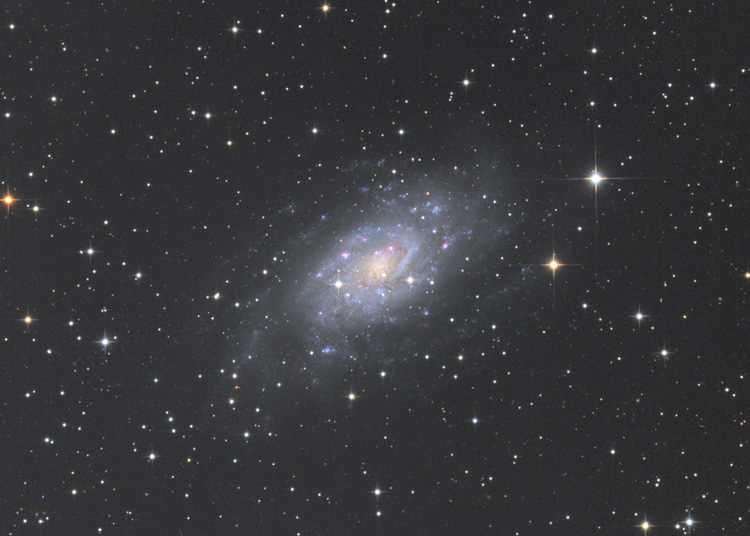 NGC2403 きりん座の渦巻銀河