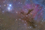 IC348とNGC1333付近の分子雲