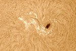太陽黒点と太陽活動領域