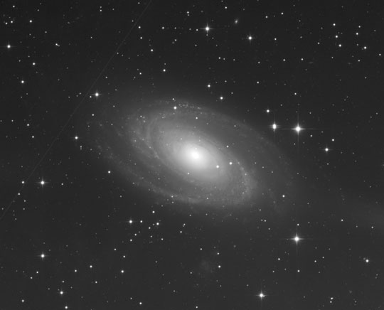 タカハシ Mewlon-250CRSで撮影したM81銀河