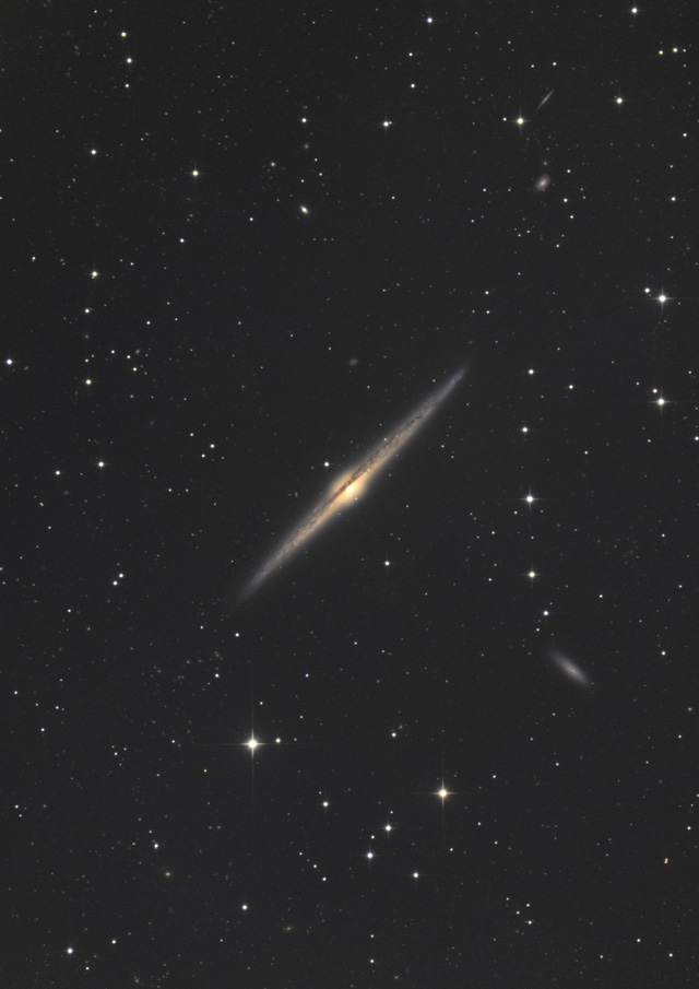 GbWI NGC4565