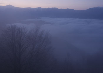 しらびそ高原の霧景