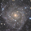 IC342銀河