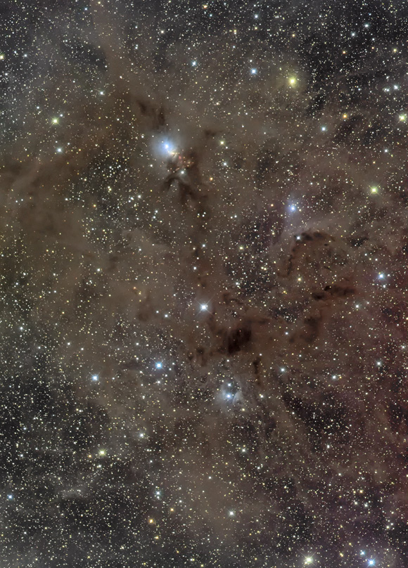 NGC1333とvdB16