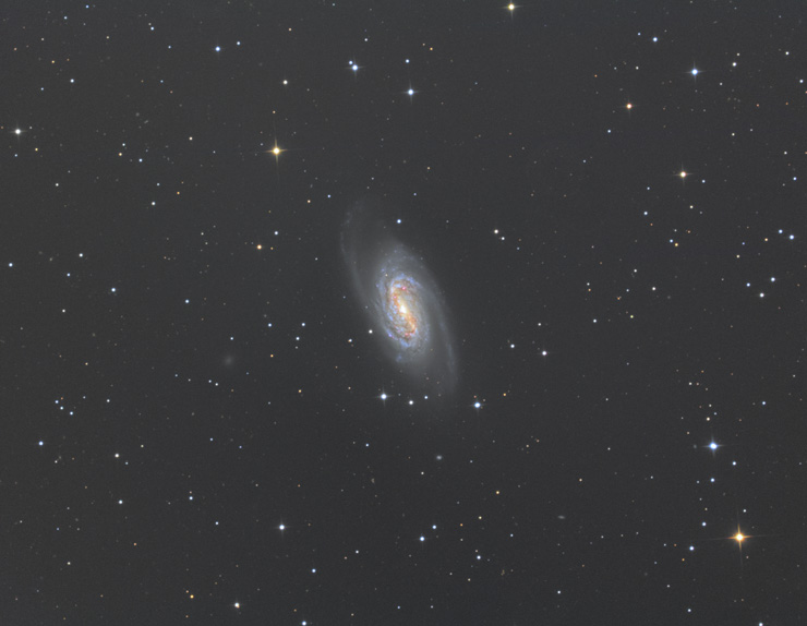 NGC2903 しし座の渦巻銀河